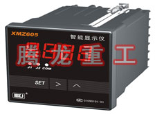 溫度表、數(shù)字顯示儀、濕度表